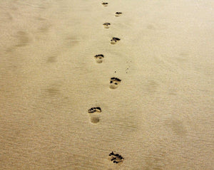 Correre a piedi nudi o con scarpe minimaliste - questo è ciò che devi sapere! 